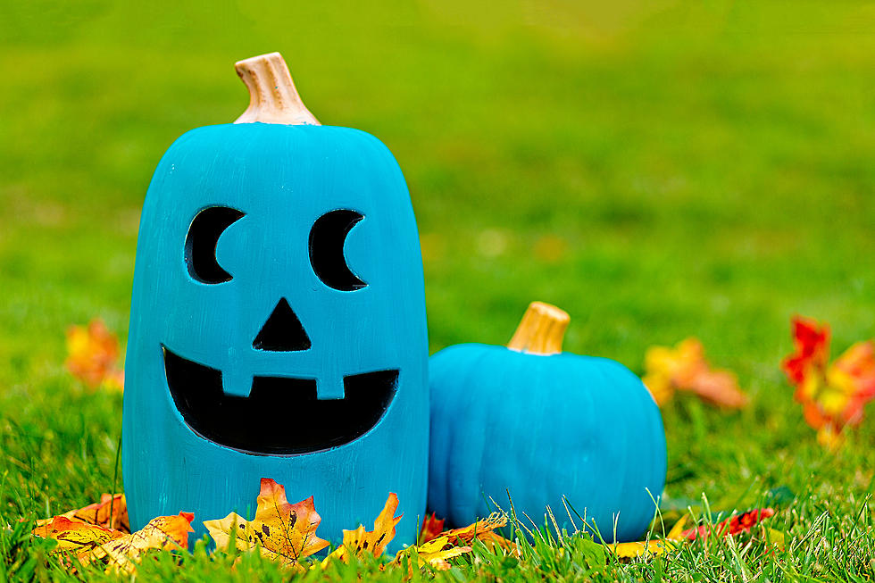 Here's The Meaning Of The Teal Pumpkin