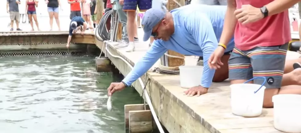 KiddNation Members Feed Tarpon On Their Family Vacation