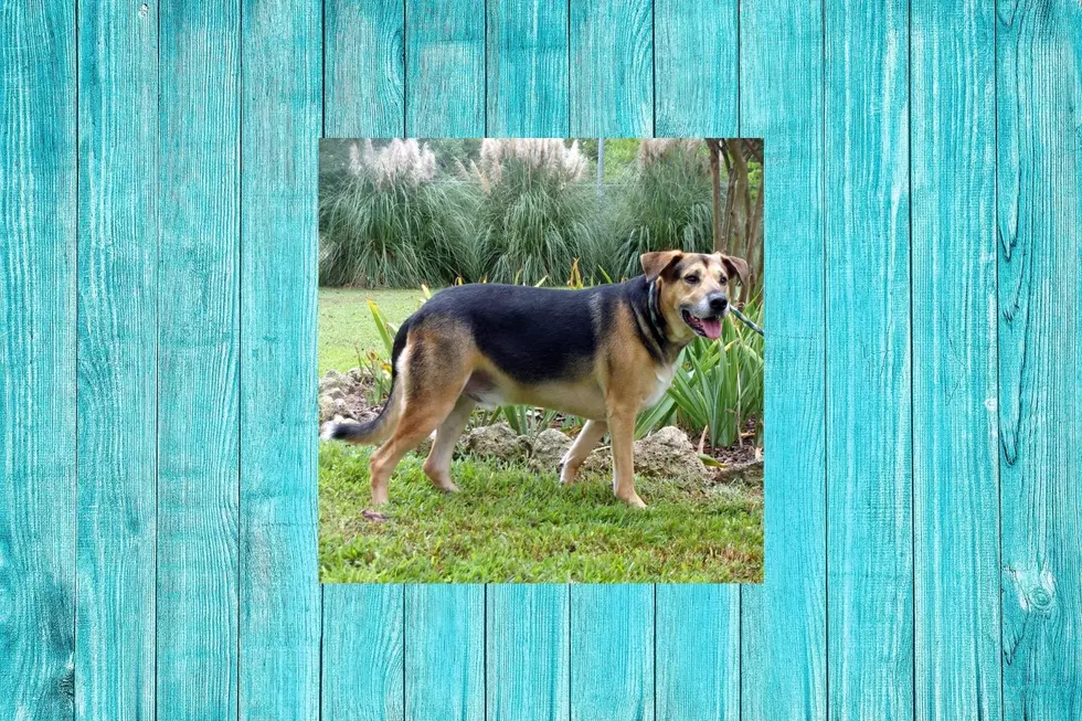Ezekiel Was Surrendered For A Good Reason And Is Now Looking For A New Family