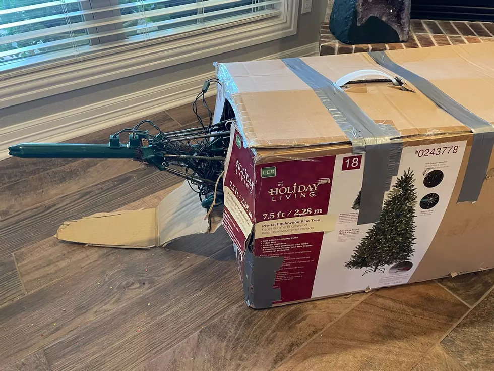 What’s The Deal With The Artificial Christmas Tree Box