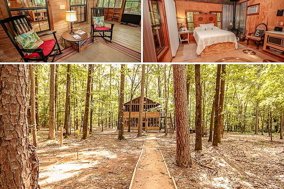 'The Tree House', It's About Semantics For This Tyler Airbnb