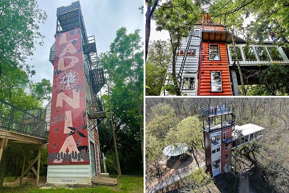 There’s A Tree House Of Sorts In Ladonia, TX Made From Shipping Containers