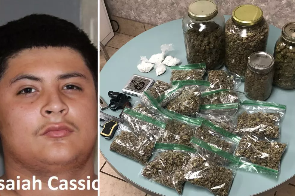 Pounds Of Marijuana And Guns Land A Mt. Pleasant Teen In Jail