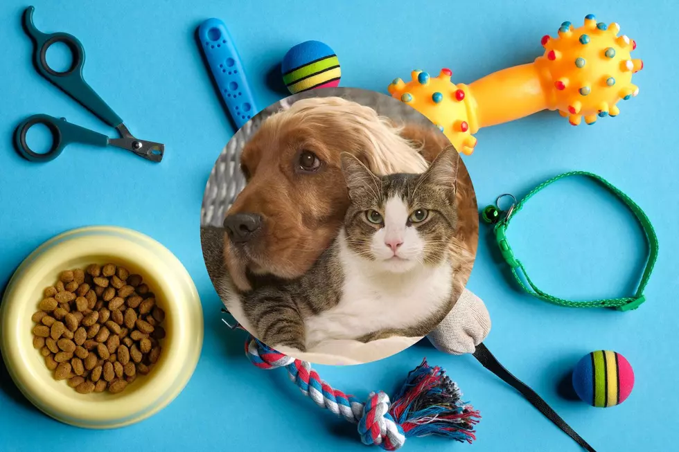 Harrison County, Texas 4-H Club Seeks Your Donated Pet Supplies