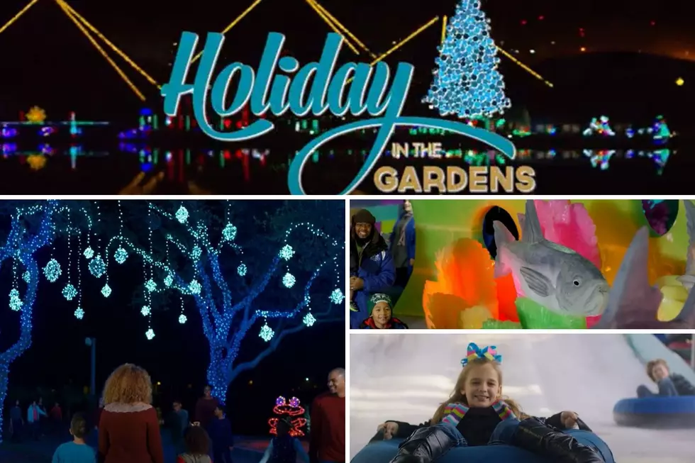 Win A Family Holiday Weekend Package To Moody Gardens - Galveston