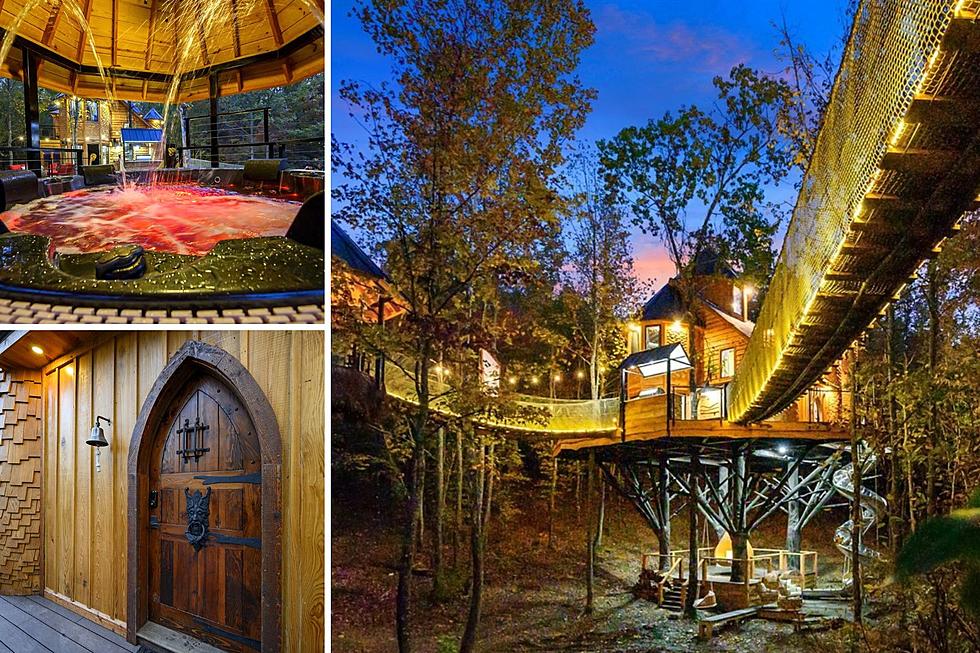 The Mindblowing Treetopia Treehouse Is 3 Hours From Tyler