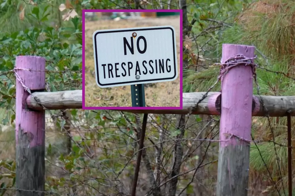 BEWARE: Going Past A Purple Fence Post In Texas Could Get You Shot