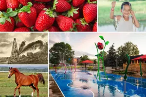 Strawberries, Splash Pads, Fishing, Horses & Free Movies In East Texas This Weekend