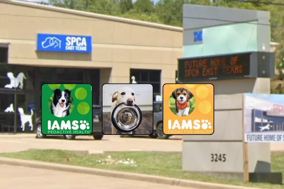 Tyler Animal Shelter Running Low on Pet Food — Here’s How to Help