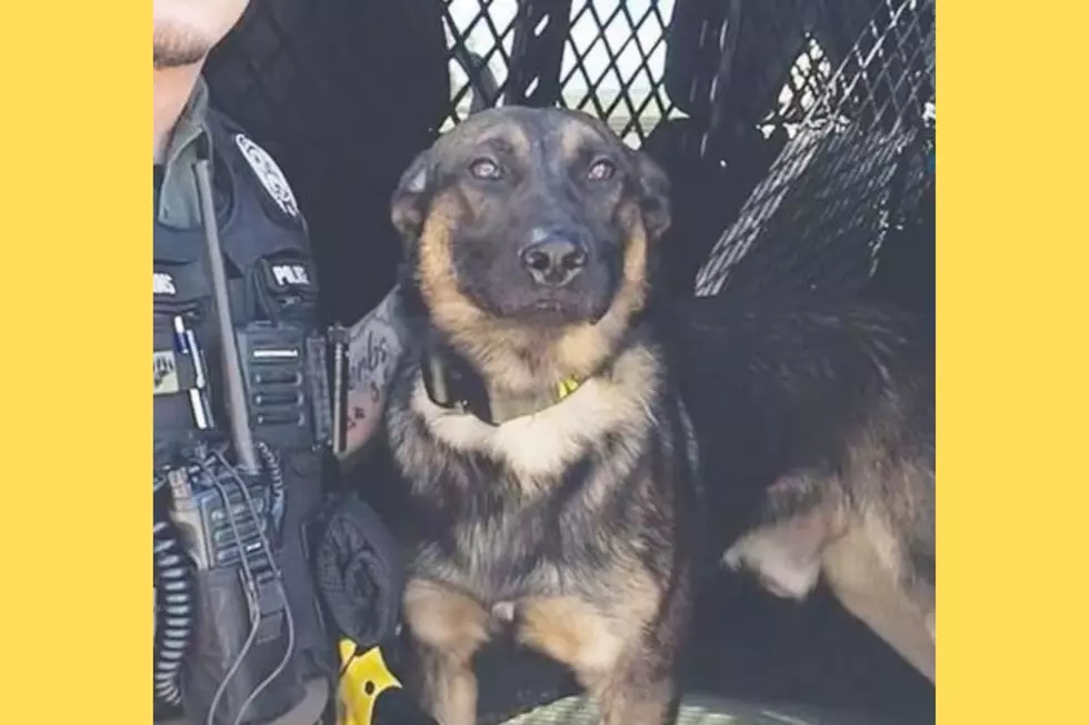 Search Continues for Missing K-9 Officer in East Texas