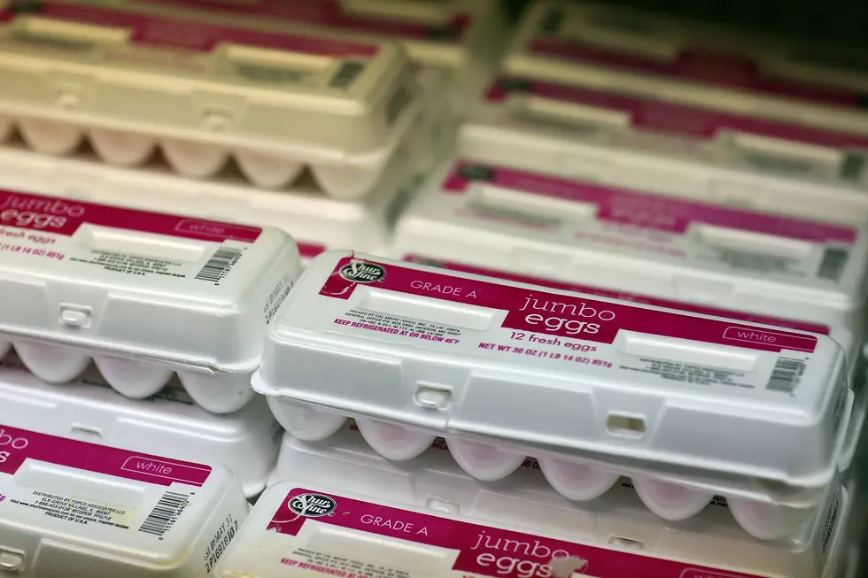 Eggs May Be Bad For Your Health According To New Study