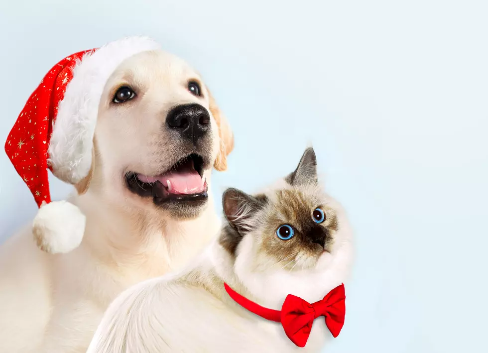 Paws & Claus Photo Event with Santa This Saturday (12/21)