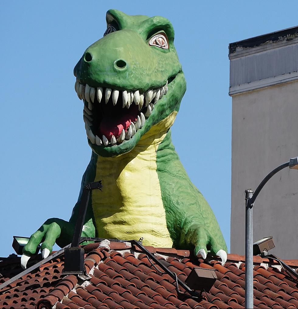 WATCH: Woman Gets Stuck on a Dinosaur, Help Arrives [VIDEO]