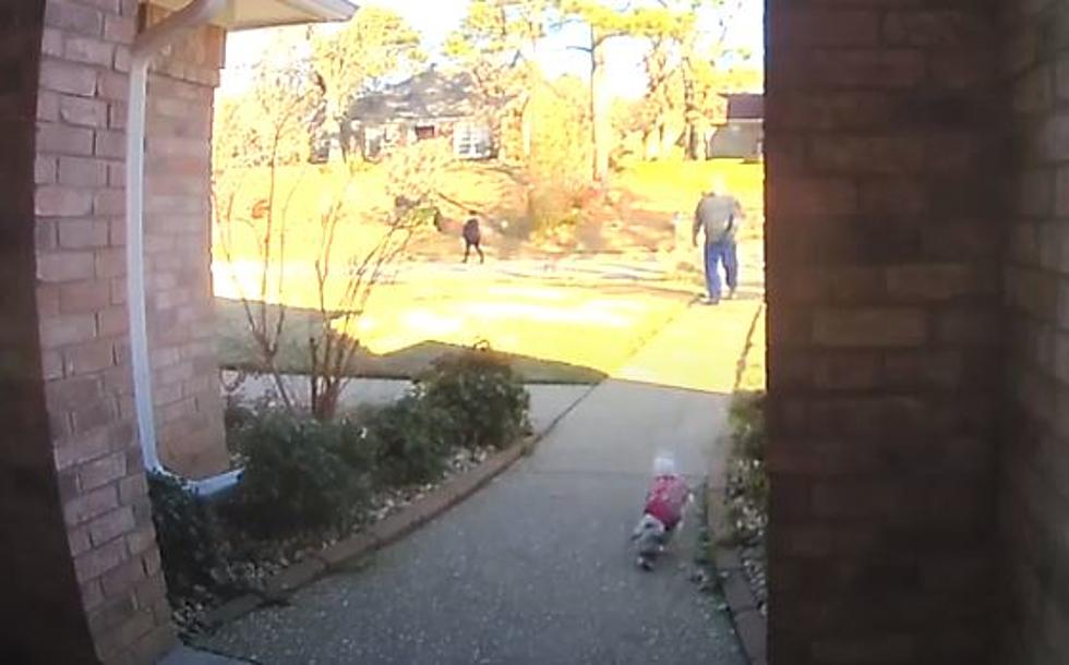 WATCH: South Tyler, Texas Neighbor Doesn’t Stop Dog From Peeing On Neighbor’s Doorstep