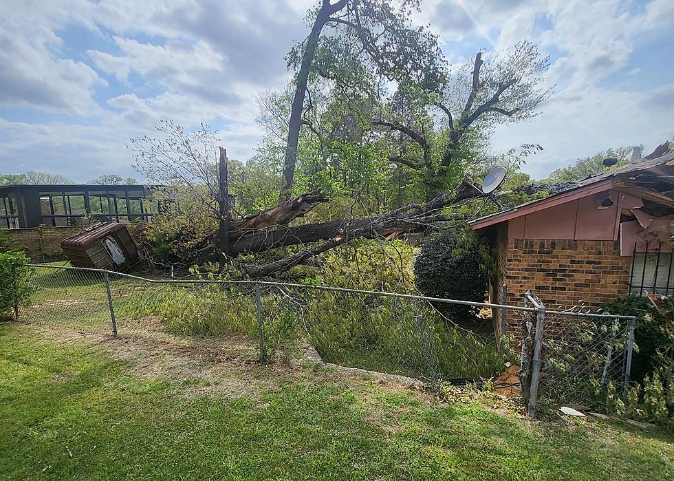 Freak Wind Gust Knocks Tree Into Tyler, TX Resident’s Home