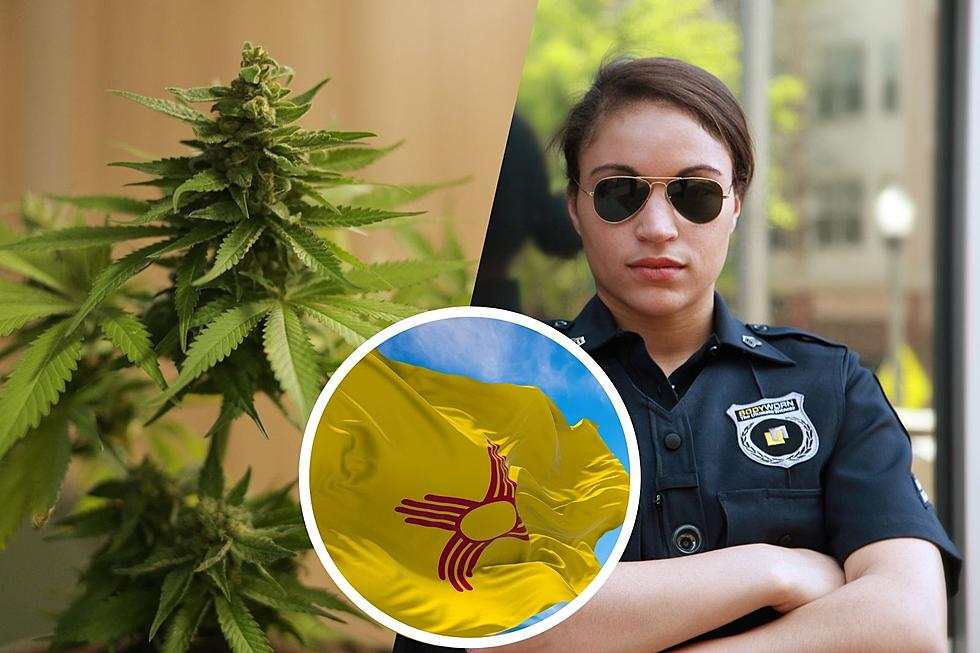Border Patrol Warning Texas Residents Buying Marijuana In New Mexico