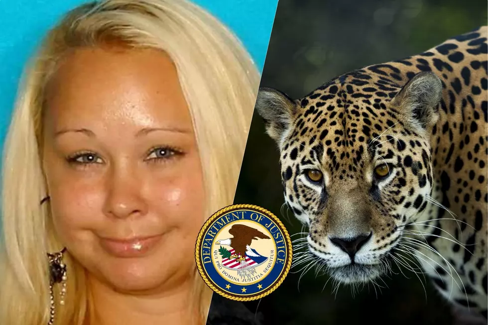 Again? Texas Mom Wanted For Allegedly Selling Jaguar Cub