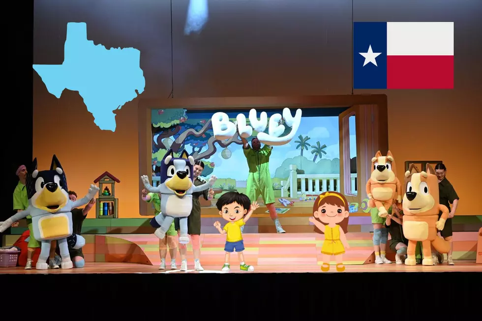 Bluey’s Big Play Live Stage Show Swings Through Texas This Summer