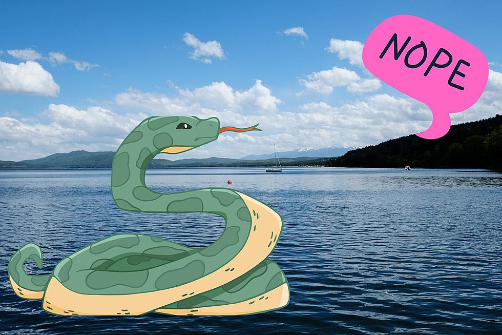 These Seven Texas Lakes are Infested With Snakes 