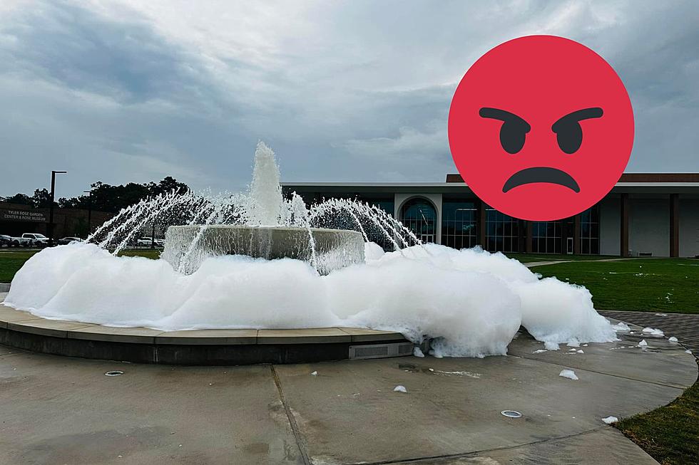 Tyler, TX Police Looking For Pranksters Who Bubbled Over Fountain