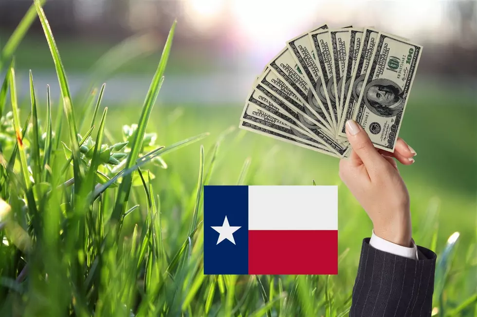 One Texas City Will Now Pay You To Do Your Own Lawn Work