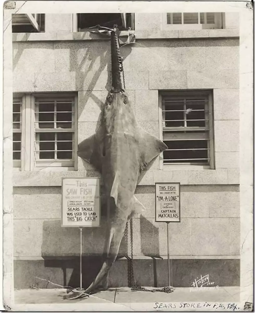14-Foot Fish back in 1938!