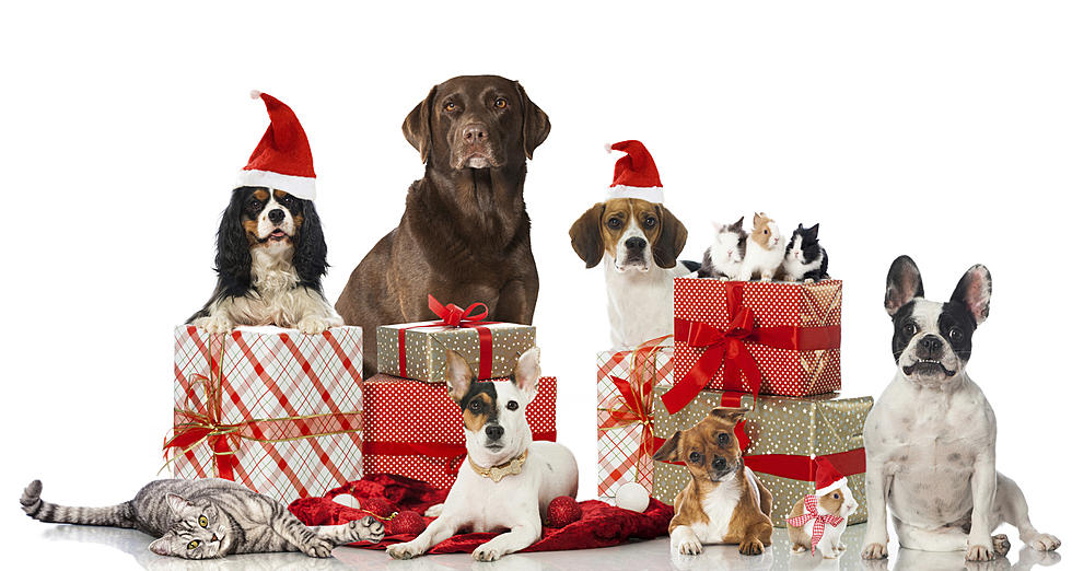 ‘Paws & Claus’ To Benefit The SPCA Of East Texas On December 21