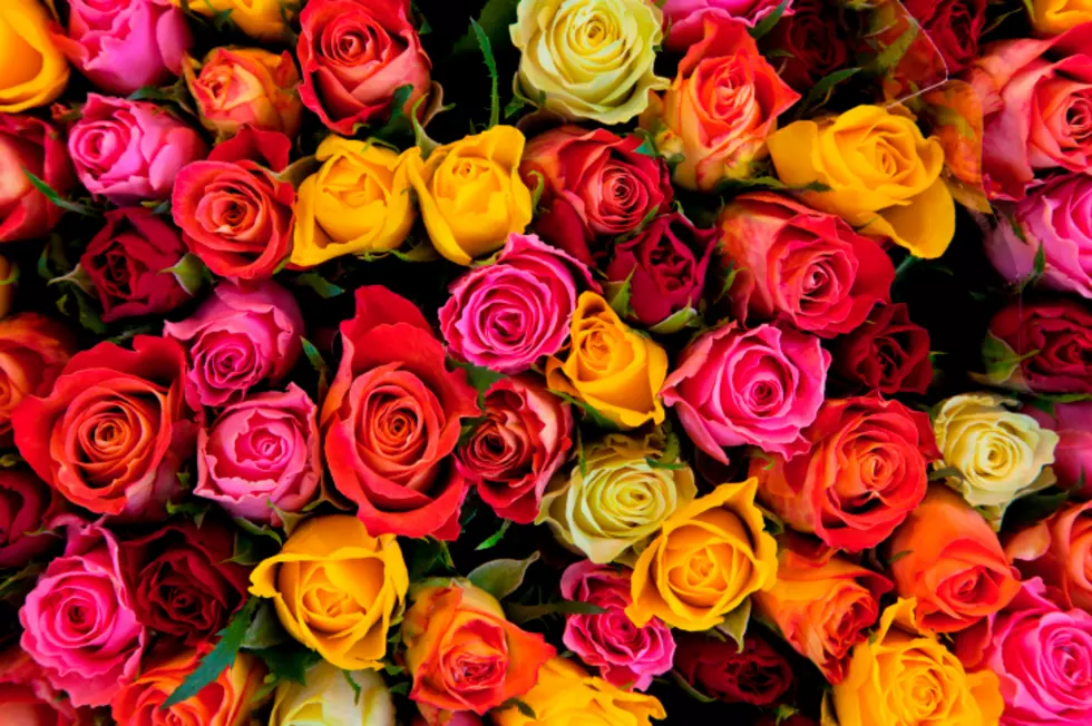 Sending Roses For Valentine’s Day? Learn What The Colors Mean