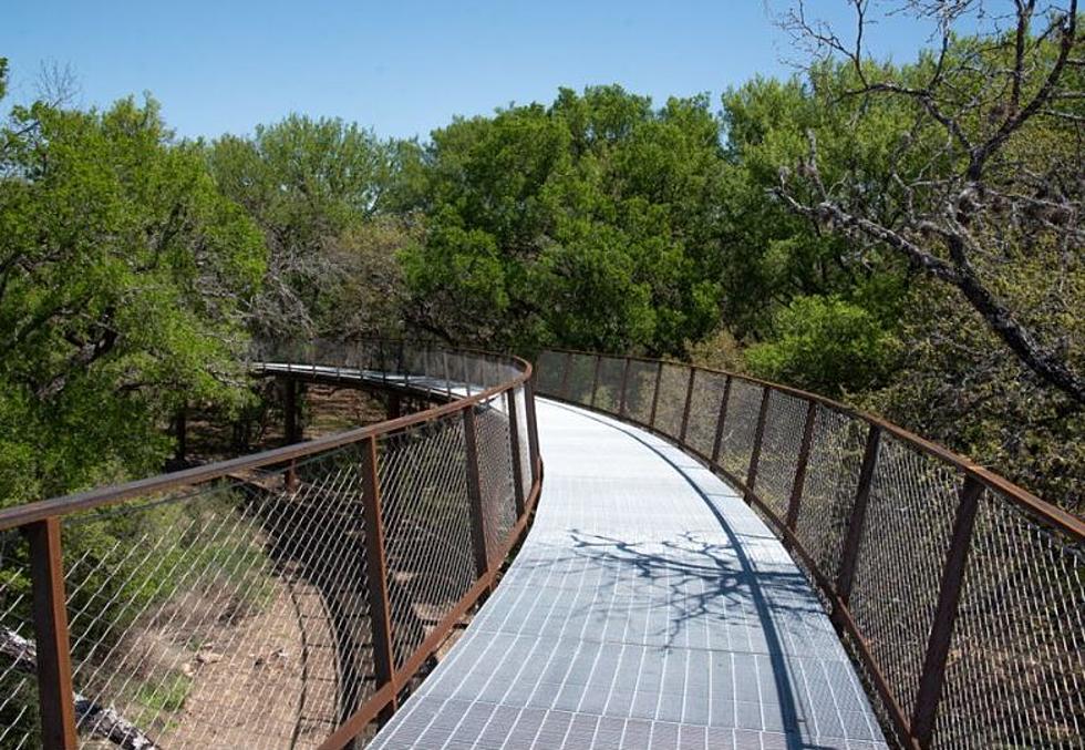 Texas Road Trip? Don’t Forget San Antonio Park’s Amazing Skywalk is Now Open!
