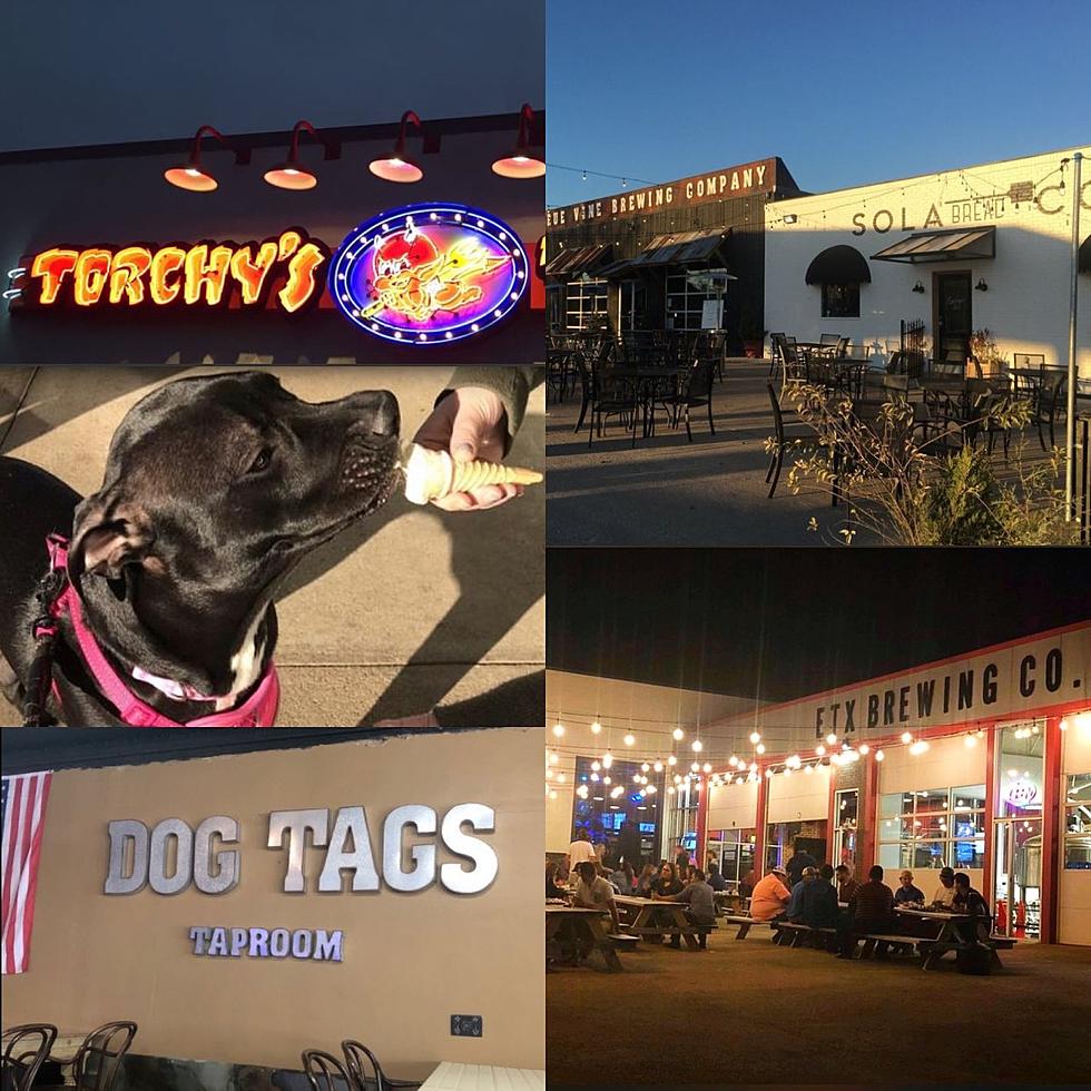 Ten of the Best Restaurants with Patios in Tyler, TX Where Dogs are Welcome!