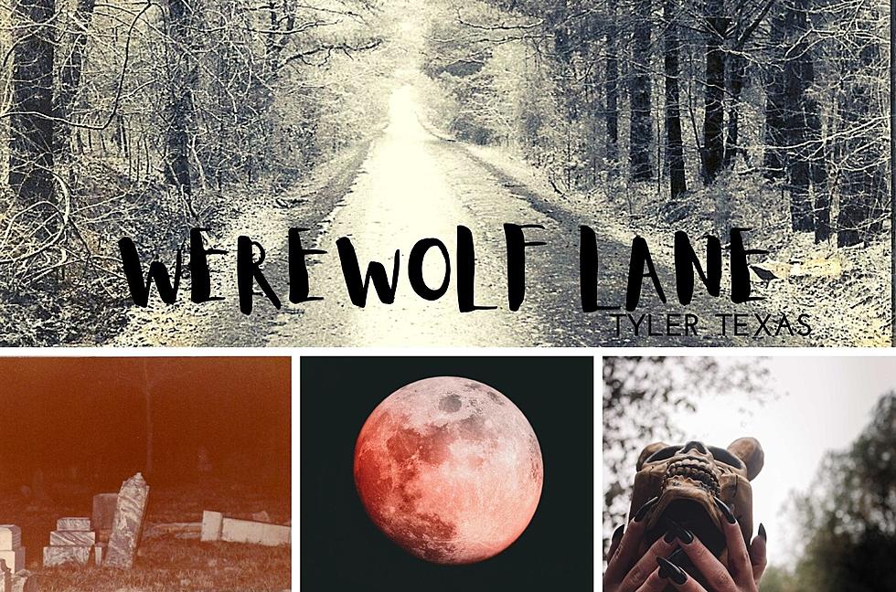 People Are Talking About Tyler's Scary 'werewolf lane'
