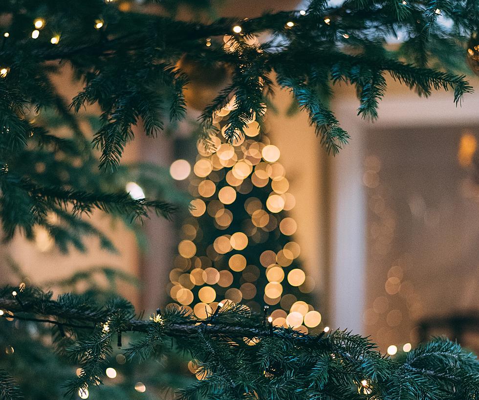 Confession: I Don’t Want to Take Down My Tree Quite Yet–Have You?