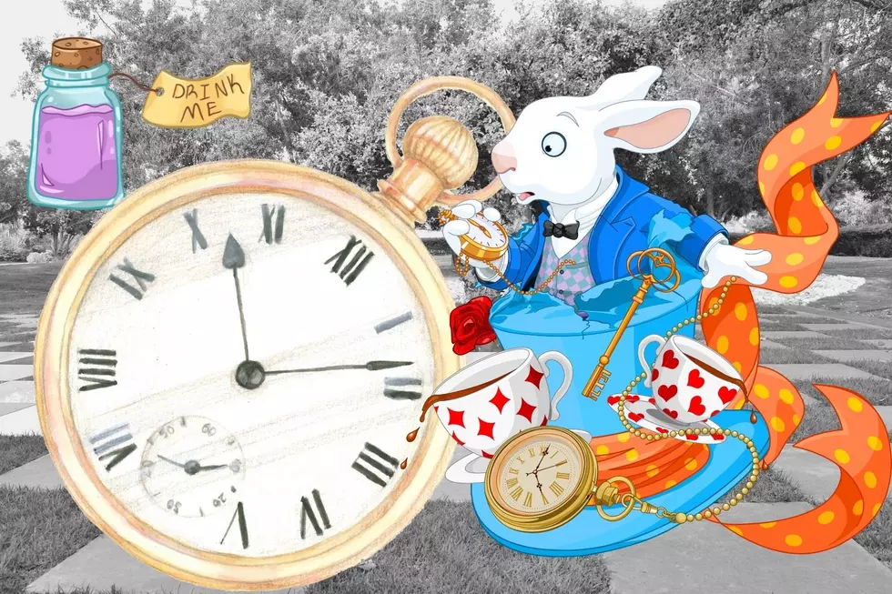 Ready for Your Alice in Wonderland Experience, Tyler, TX? It’s Coming Soon