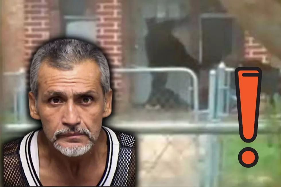 [VIDEO] Texas Man Caught Abusing His Dog Receives 25-Year Jail Sentence