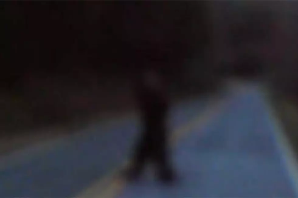 There Is No Such Thing As Freakin&#8217; Bigfoot! [VIDEO]