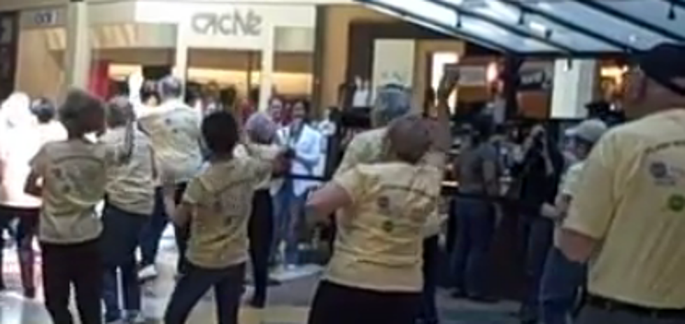 A Geriatric Flash Mob Dances in the Middle of a Shopping Mall [VIDEO]