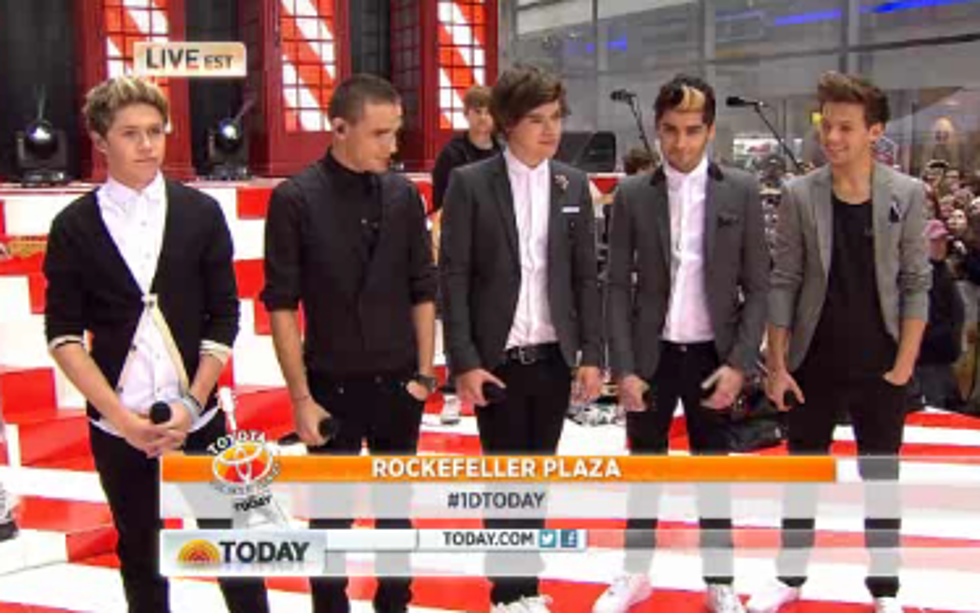 15,000 Fans Show Up to See “One Direction” On the Today Show & The Boys Announce Their 3D Movie [VIDEO]