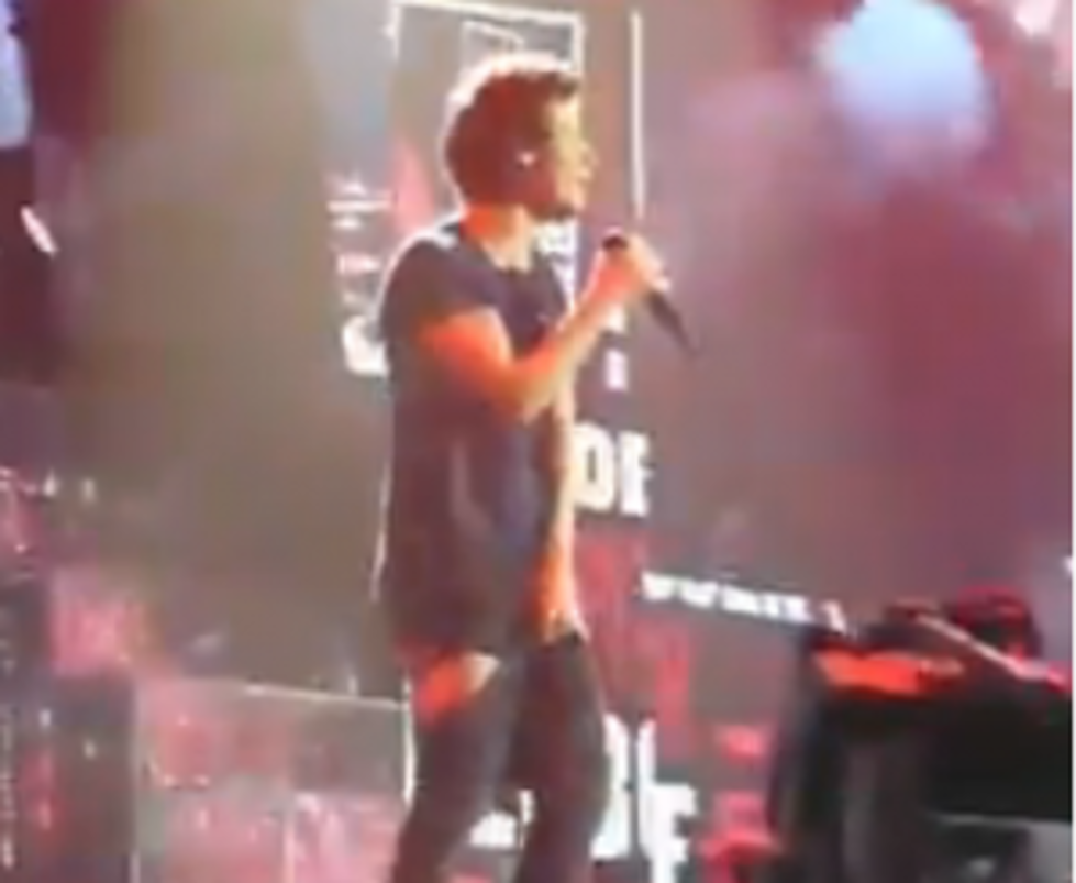 Video of Liam Payne &#8220;Pantsing&#8221; Harry Styles During a One Direction Gig [VIDEO]