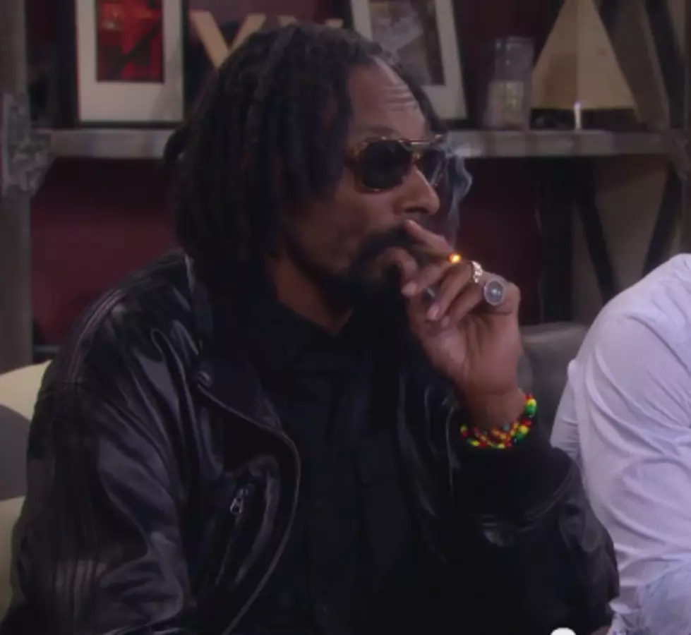 Snoop Lion/ Dog Is a Soap “Star” (Video)