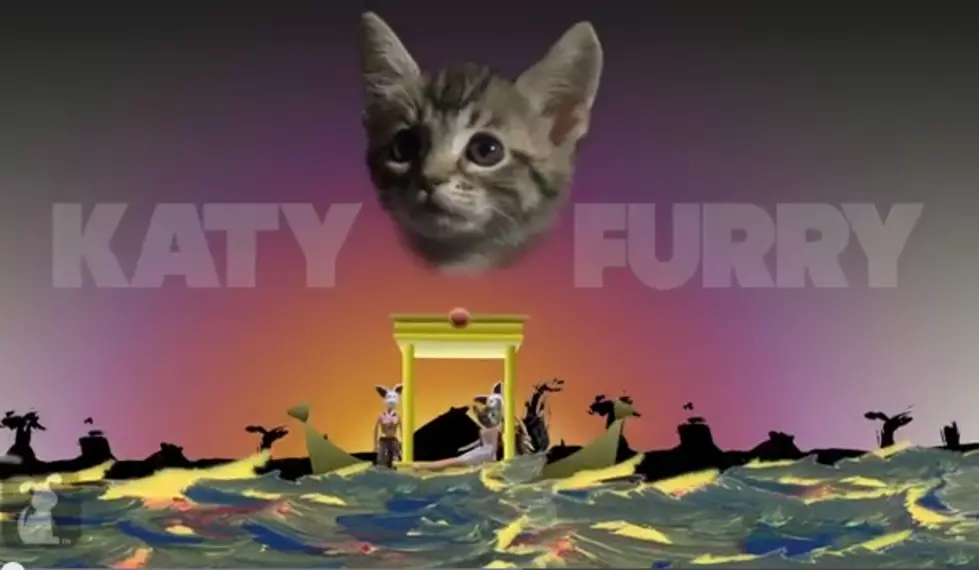 Katy Furry: Dark Horse [VIDEO]