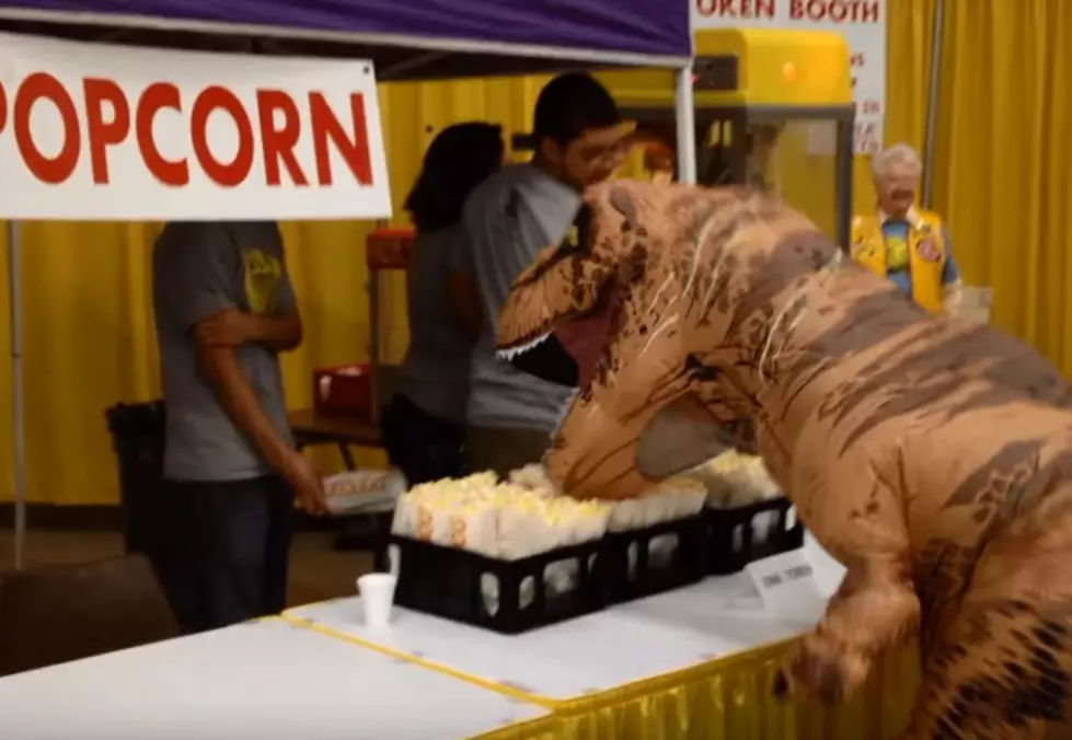 Terrifying Monster Locals Have Dubbed Tyrannosaurus Rox Invades Pancake Festival, Local Car Dealer & Your Nightmares [VIDEO]