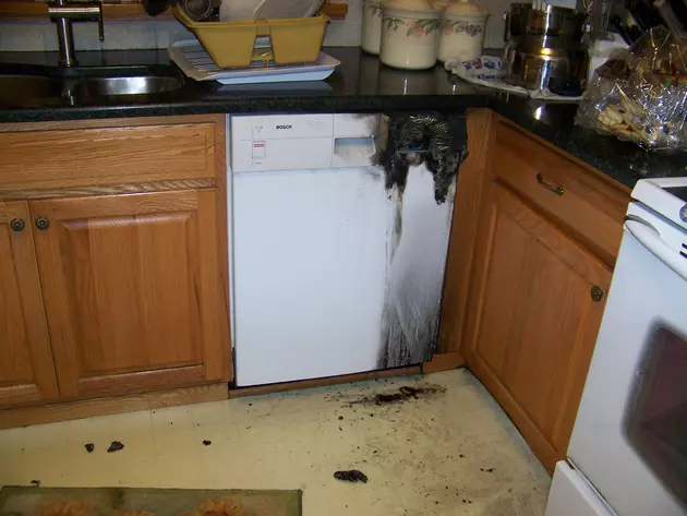 Dishwashers Are Supposed to Clean With Water, Not Fire [RECALL]