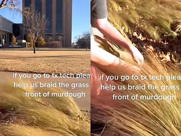 Texas Tech Students Go Viral for Braiding the Grass on Campus