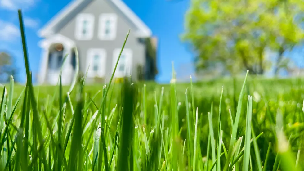 Save Your Lawn From the West Texas Drought With 7 Simple Tips