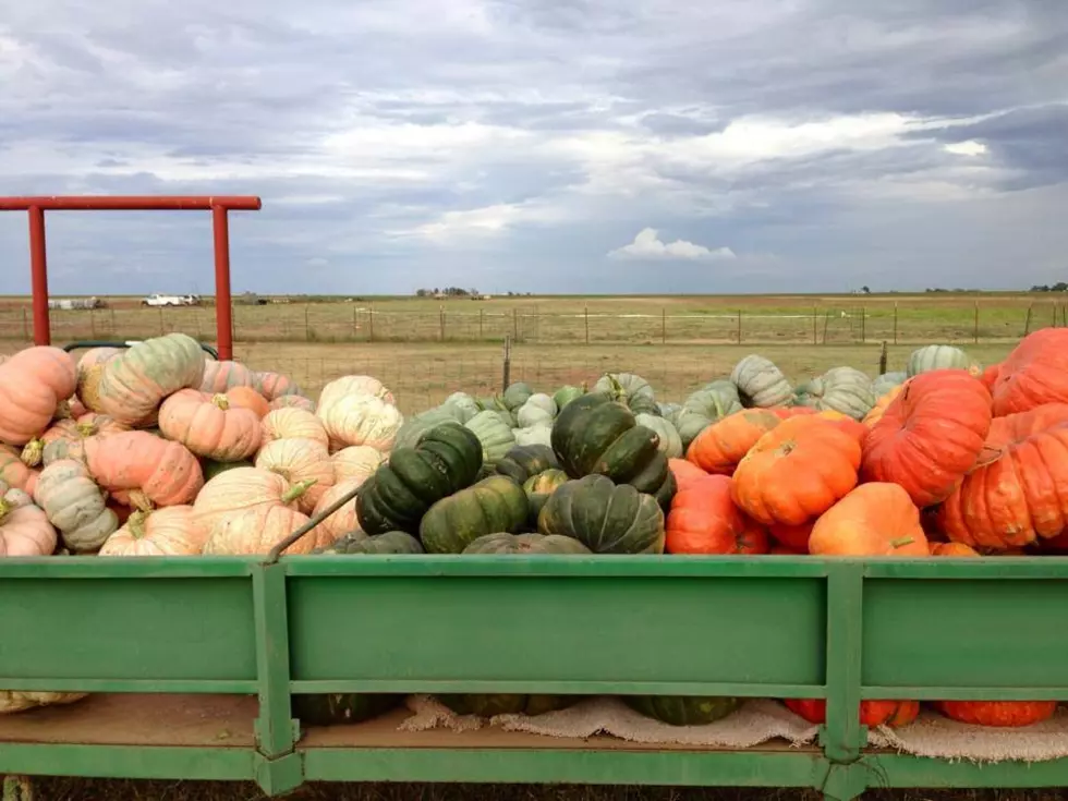 You Won’t Want to Miss This West Texas Pumpkin Party