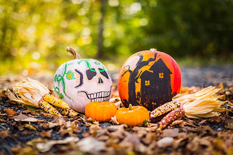 Have Fun Pumpkin Painting in October with Two Lubbock Businesses