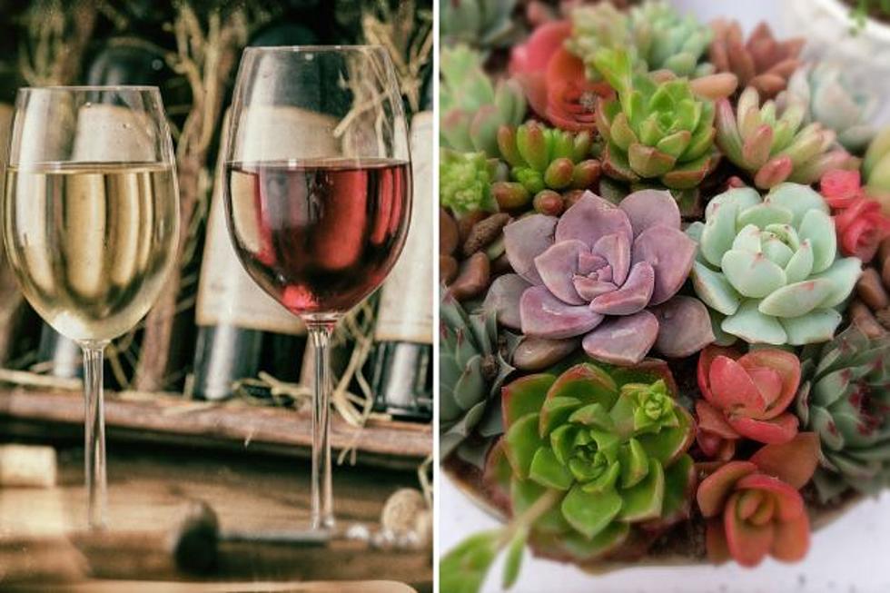 Lubbock Last-Minute Plans: DIY Cactus Garden, Wine-O Bingo & More