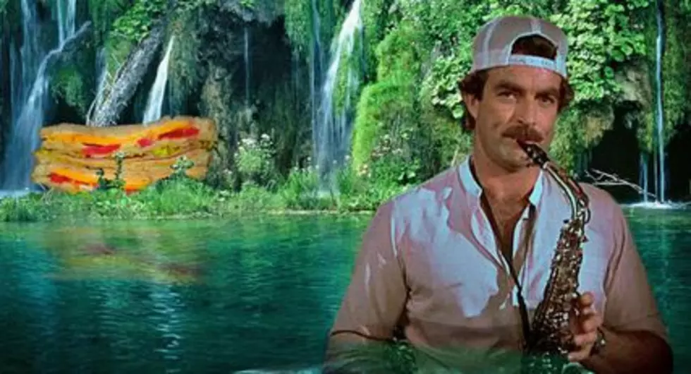 Is “Selleck Waterfall Sandwich” the Strangest Website of All Time?