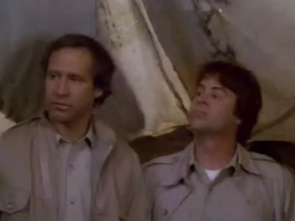 Dan Aykroyd and Chevy Chase Are Doing a Movie Together
