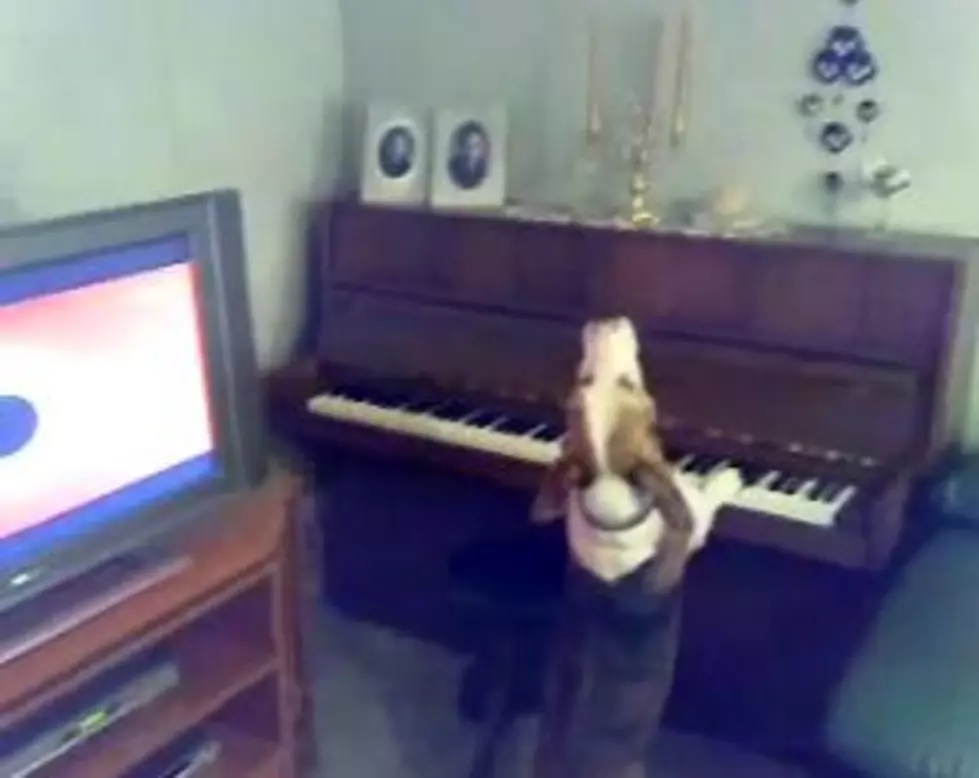 And Now…a Dog Howling While it Plays the Piano [VIDEO]